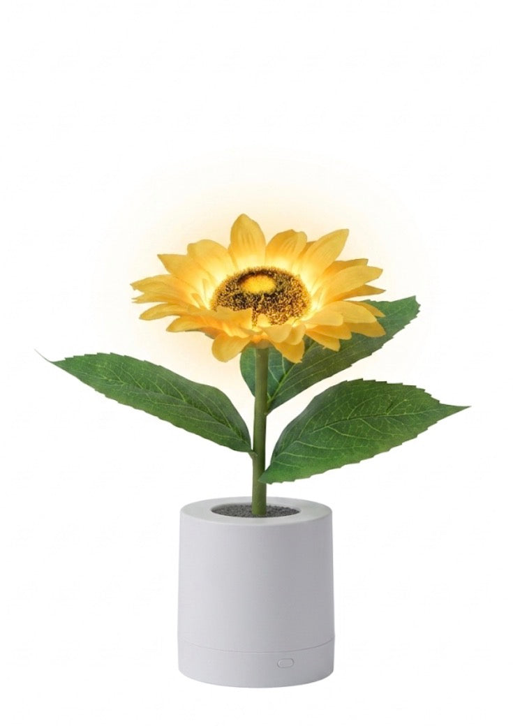 Sunflower LED